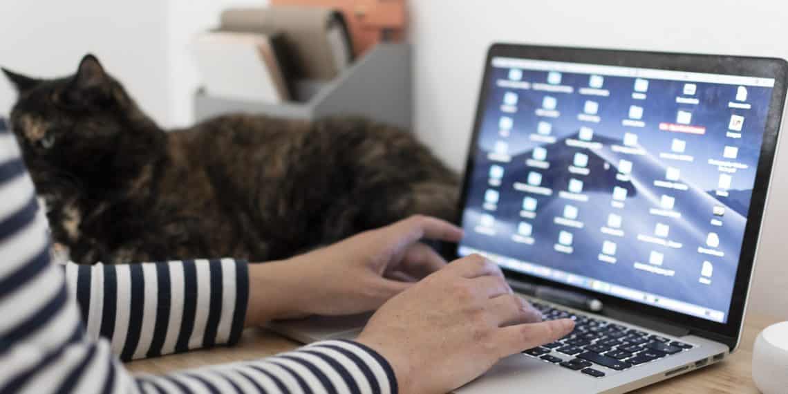 Cache MacBook leeren